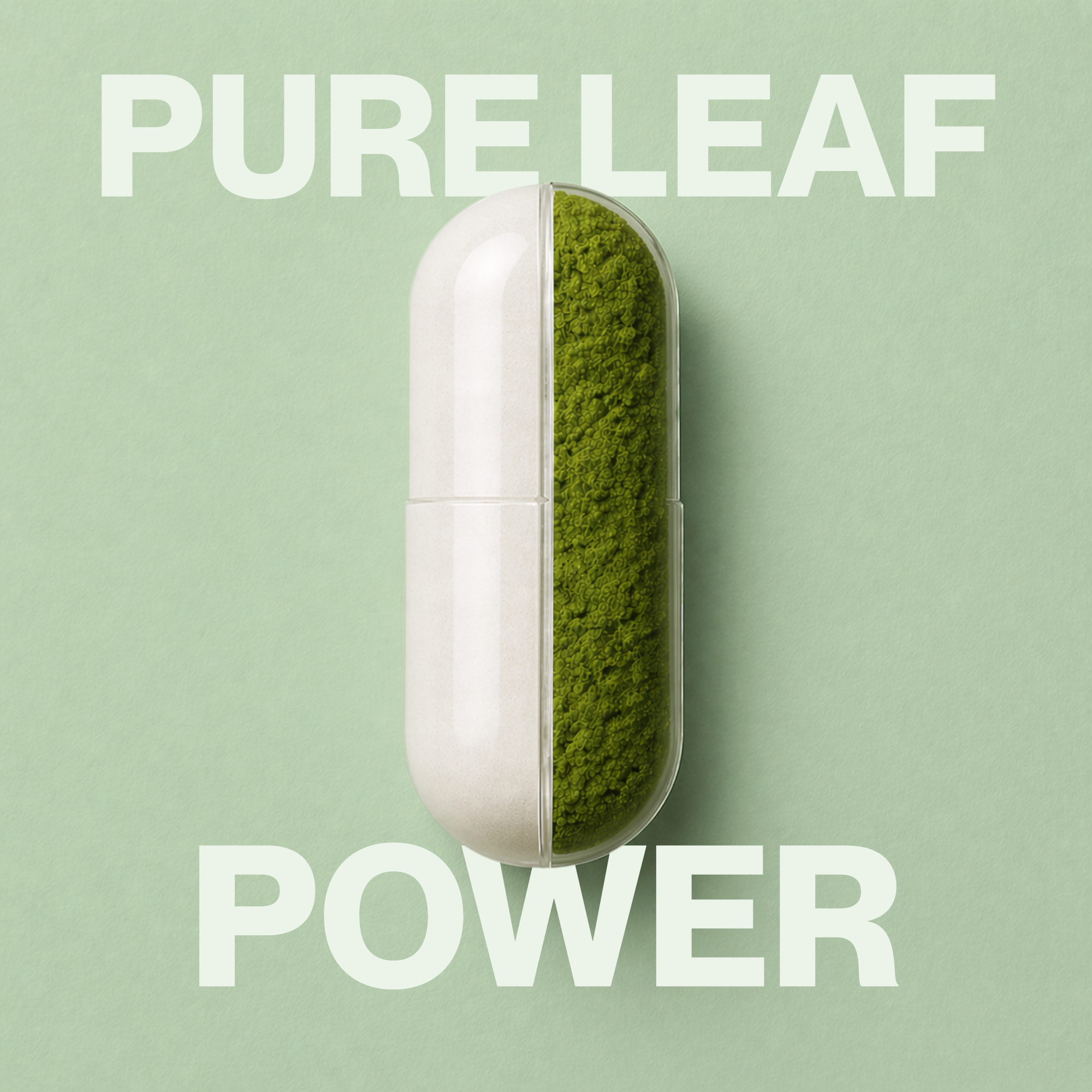 TMPLE™ Renew Formula