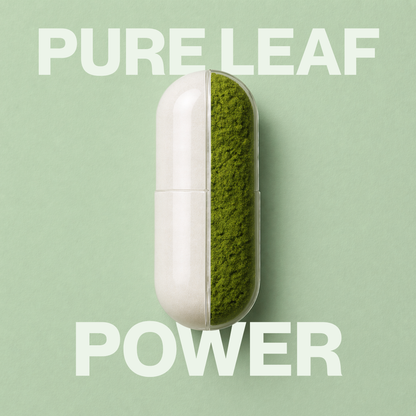 TMPLE™ Renew Formula